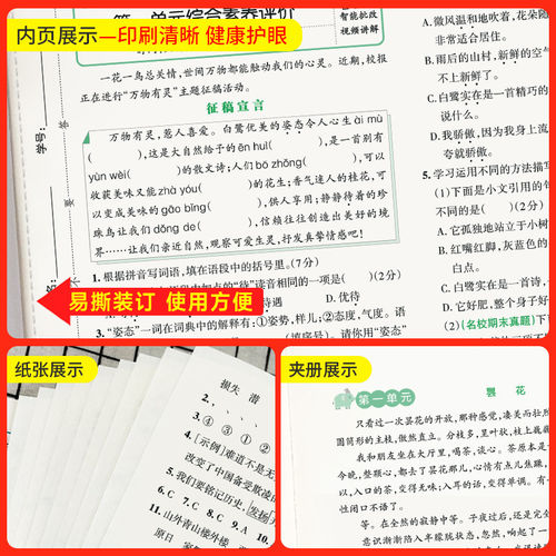 2026新版小学学霸冲A卷五年级上册下册语文数学英语部编人教版北师大pass绿卡图书小学同步训练单元期中专项期末测试卷题练习册书 - 图3