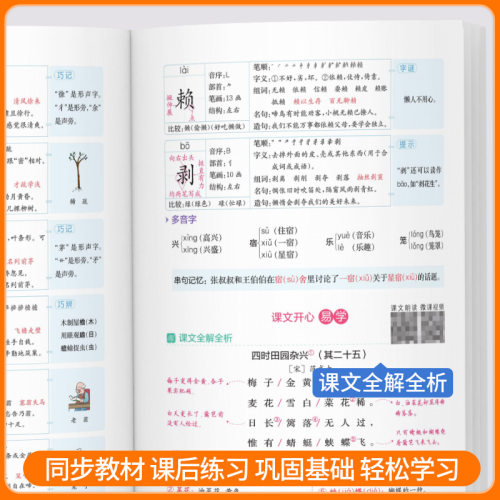 2026全易通一年级二年级三四五六年级上下册语文数学英语科学人教版北师大全套小学课本同步教材解读全解七彩课堂笔记讲 - 图3