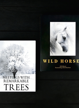 装饰真书样板间售楼处仿真书