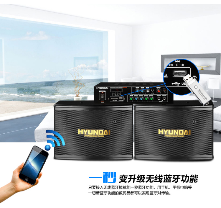 HYUNDAI/现代WD-700家庭KTV组合套装音响 数字蓝牙卡拉OK会议音箱