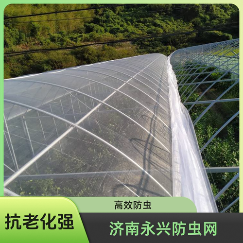 防虫网大棚专用加厚加密农用蔬菜果树园抗老化养殖围网防蚊苍蝇网 - 图2