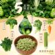 Five Vegetable Noodles Non-fried Noodles Nutritious and Healthy Vegetable Noodles