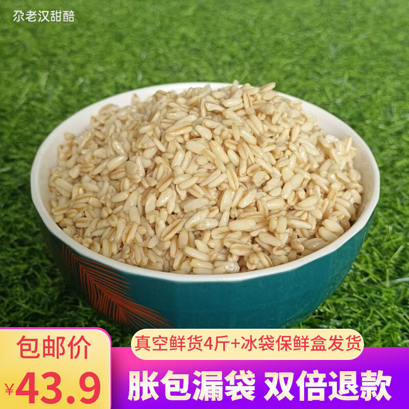 会宁尕老汉甜醅甘肃特产甜胚子开袋即食用农产品4袋4斤真空包邮