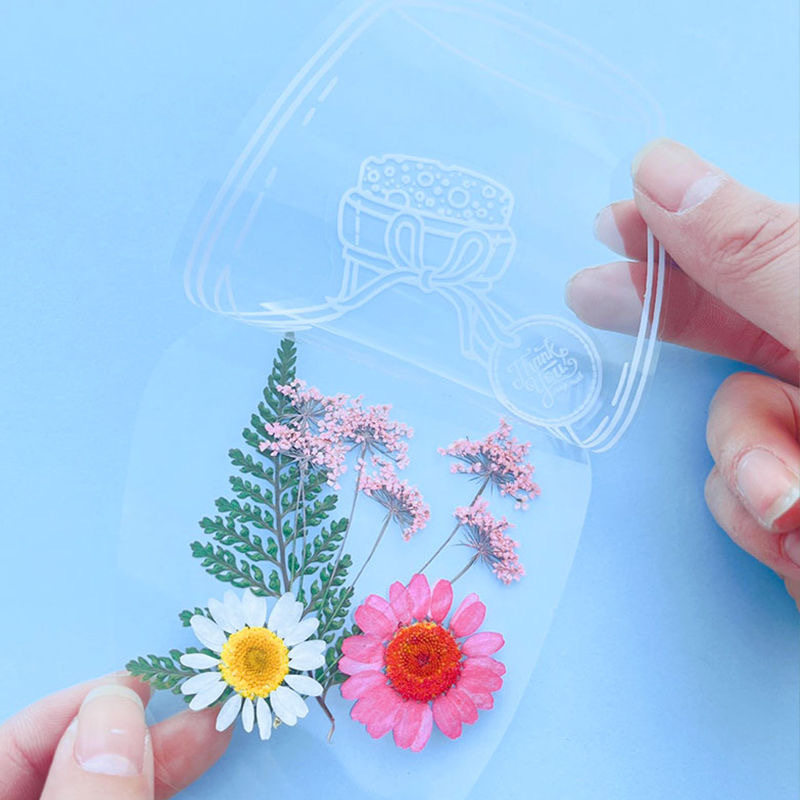 干花书签植物标本塑封膜树叶昆虫透明自粘密封袋学生标本diy材料,淘宝优惠券,粉丝福利购,淘宝优惠卷