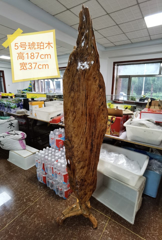 琥珀木松明子千秋大叶摆件沉化老料北沉香造型原木料高油茶台茶盘 - 图3