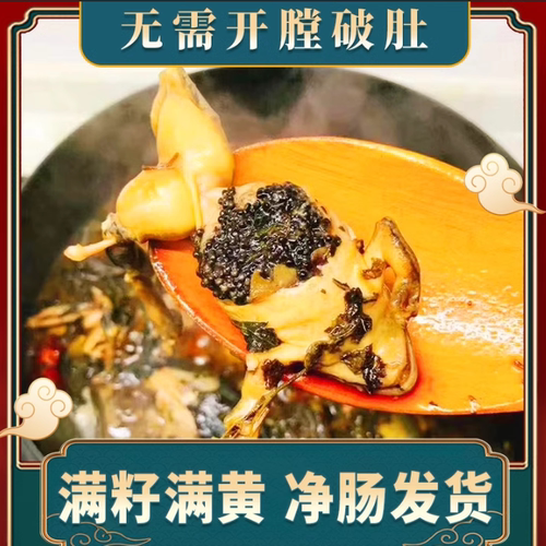 深山活林蛙 雪蛤 母蛤蟆 哈士蟆 母豹子 满籽满油 东北活蛙顺丰 - 图1