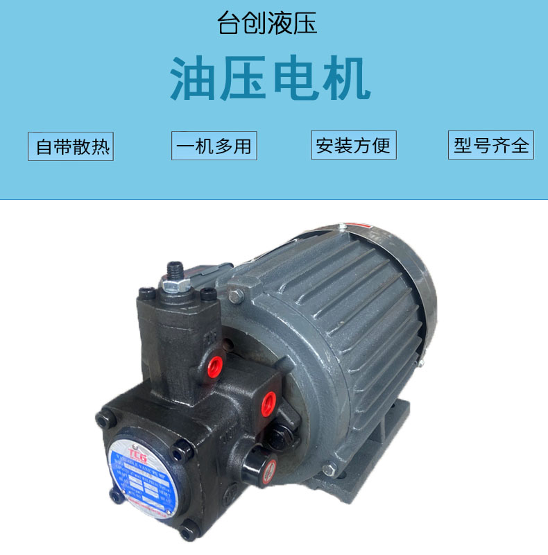 液压电机 内插式油泵电机 0.75KW/1.5KW/2.2KW配VP20/VP15/VP30 - 图2