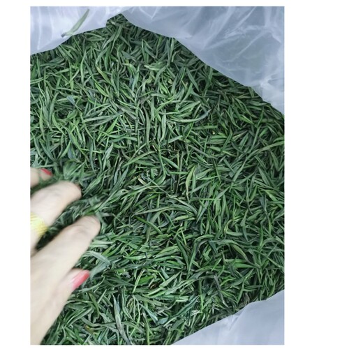 500克2026年新茶春芽贵州绿茶特级明前湄潭翠芽雀舌高山独芽清香 - 图0