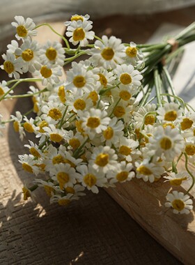 洋甘菊小雏菊仿真花假花摆设客厅餐桌装饰花束高品质仿生干花摆件