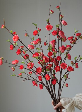 新中式禅意腊梅花仿真花假花干花摆设客厅玄关花艺插花摆件装饰品
