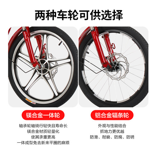 Permanent elderly tricycle rickshaw, elderly scooter, double pedal bicycle, adult tricycle