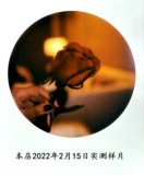Сверкающий Polaroid Pokellai 600 itype Общий круглый рама