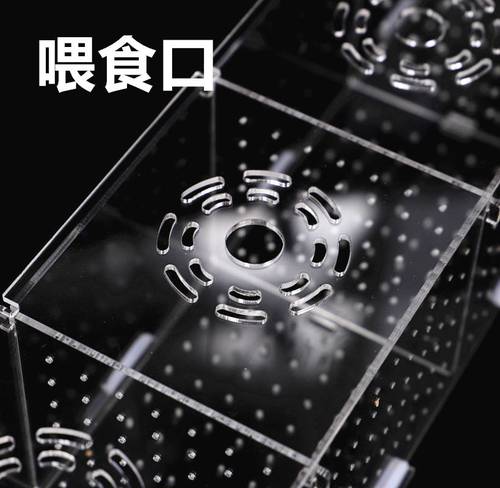 鱼缸隔离盒亚克力鱼苗孵化盒箱繁殖盒水族饲养箱产房分离箱孔雀箱 - 图1