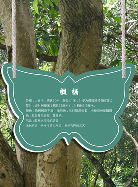 花草名牌定制亚克力树牌定做植物标识牌树木介绍挂牌公园林简介牌