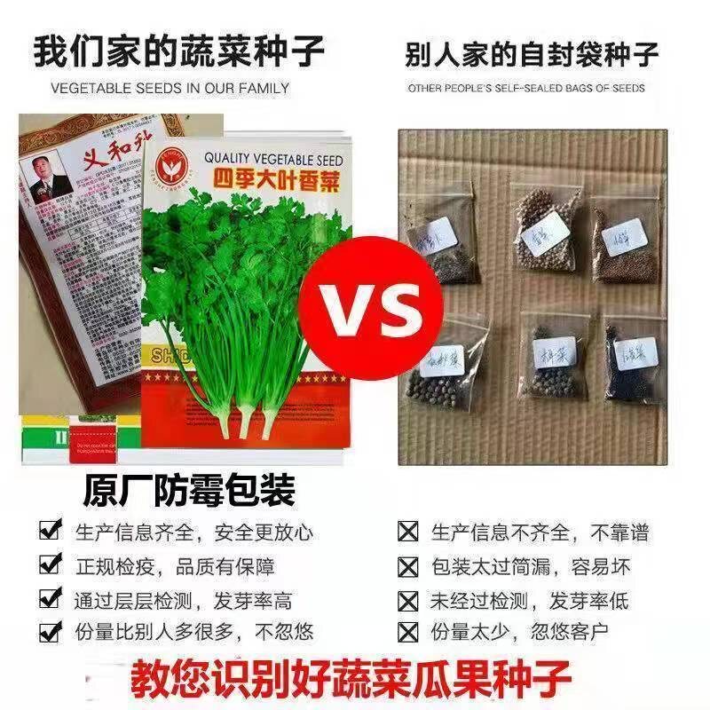 四季蔬菜种子春季菜籽阳台青菜番茄黄瓜生菜香菜小葱韭菜辣椒盆栽,淘宝优惠券,粉丝福利购,淘宝优惠卷