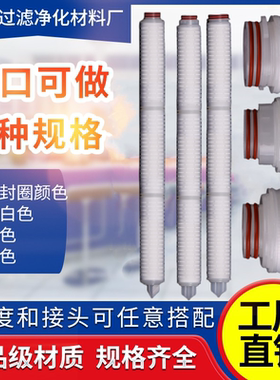 沁静30寸微孔膜折叠滤芯聚丙烯