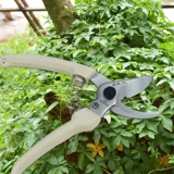 Slali Precision Steel Garden Ветвь сжимает инструменты для садоводства маленькие цветочные ножницы для дома фрукты