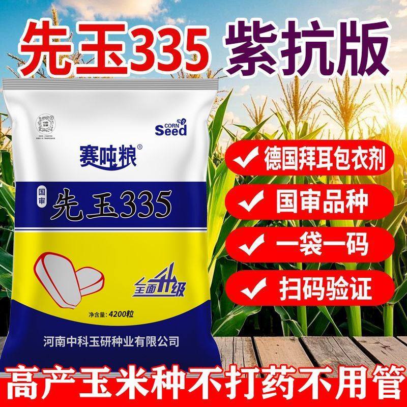 正品红心国审先玉335玉米种子紫抗版抗倒抗病进口高产玉米种子,淘宝优惠券,粉丝福利购,淘宝优惠卷