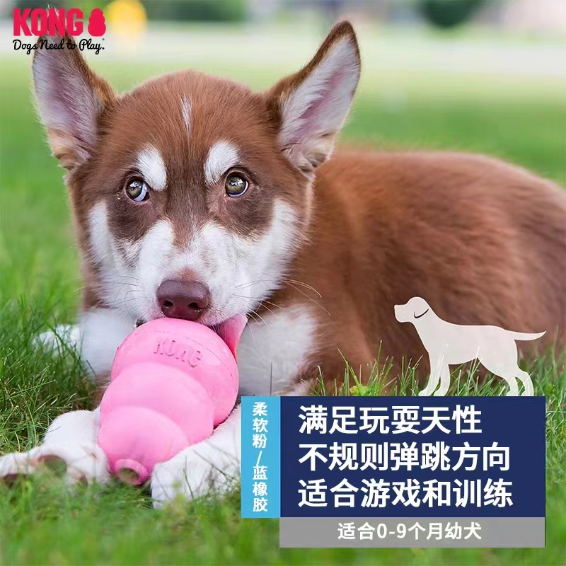 KONG葫芦漏食球幼犬成犬减压狗玩具耐磨磨牙咬胶猫狗益智不倒翁 - 图0