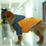 Цинканг собачья одежда, зимняя одежда густая золотая ретрада сатсума средняя большая собака домашнее животное милые две юбки