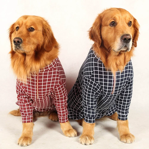 Обратный сезон Специальная утечка обработки