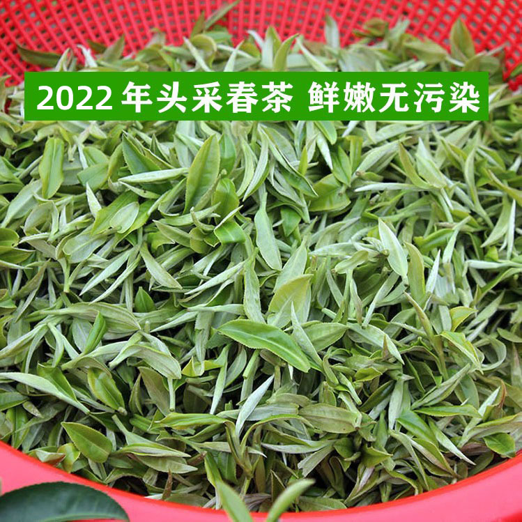 绿茶2022年新茶散装茶叶袋装明前高山云雾炒青毛尖昭平绿茶叶