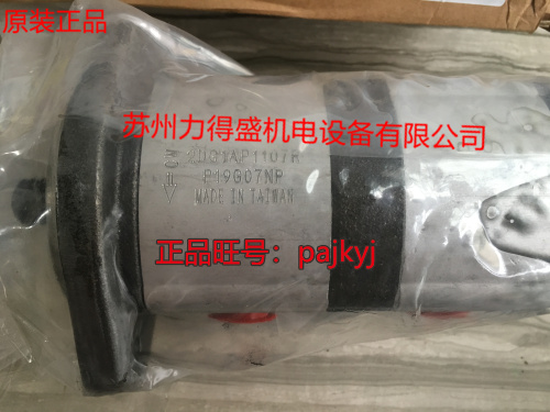 2DG1BP1605R 2DG1BP1609R台湾钰盟HONOR双联齿轮泵系列欢迎咨询 - 图0