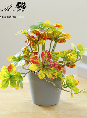 仿真塑料绿植叶子大盆景