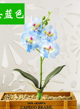 蝴蝶兰仿真花束塑料花插花艺绢花