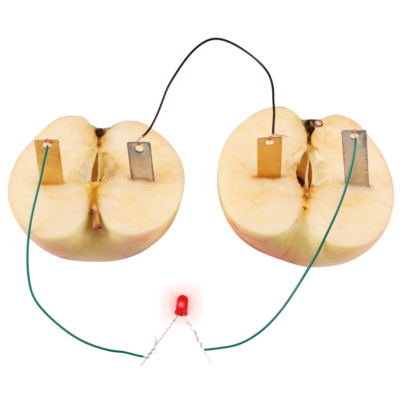 水果电池 diy科学实验器材水果导电实验水果电池科技小制作创意学习用品-图3