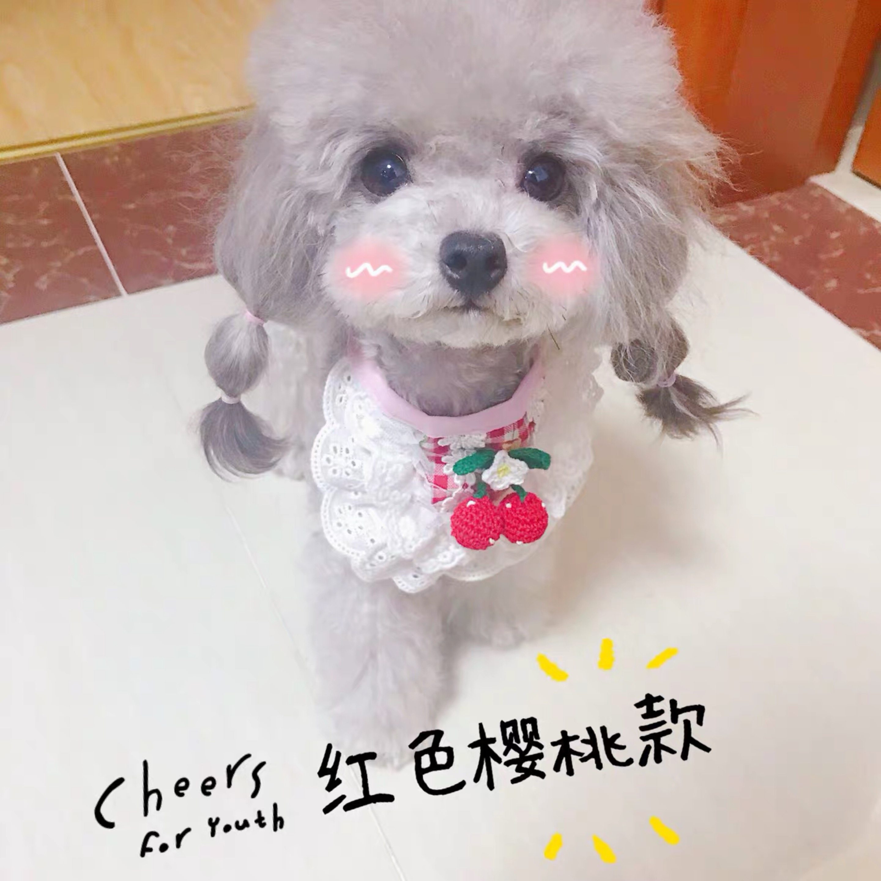 糯米家包邮狗狗宠物蕾丝口水巾假领嘴围兜可爱纯棉泰迪比熊配饰,淘宝优惠券,粉丝福利购,淘宝优惠卷
