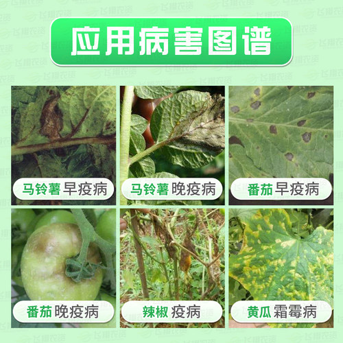 科迪华 杜邦 抑快净噁唑菌酮霜脲氰葡萄黄瓜晚疫霜霉病农药杀菌剂 - 图0