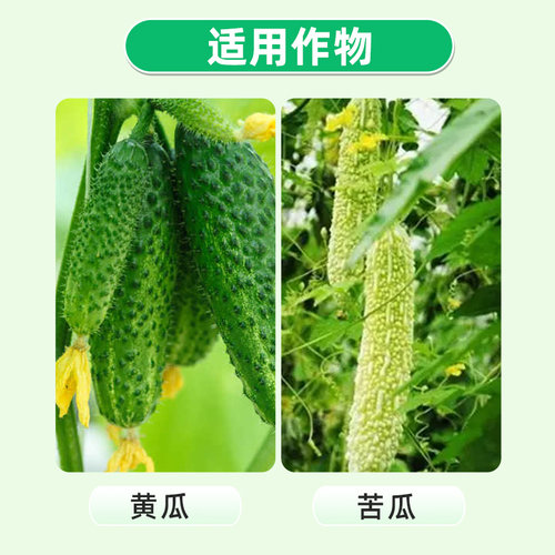 寿光双星增瓜灵黄瓜苦瓜增产剂促花促果座瓜灵提高座果率叶面肥 - 图2