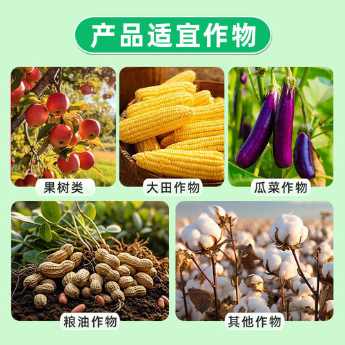 国光钾国光甲磷酸二氢钾植物花卉水溶肥料钾肥叶面肥冲施肥1000g - 图2