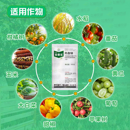 德国拜耳 安泰生 丙森锌黄瓜霜霉病叶斑病农药杀菌剂大包装更实惠 - 图1