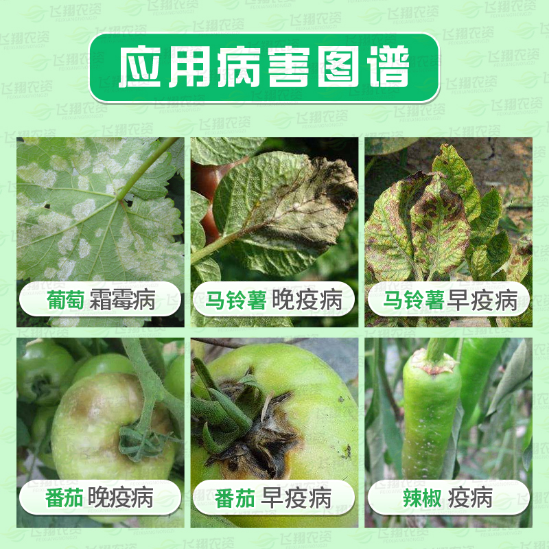 科迪华杜邦增威赢倍31%噁酮氟噻唑番茄霜霉病早晚疫病农药杀菌剂 - 图0