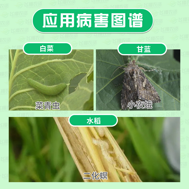 日本住友巴丹98%杀螟丹螟虫甘蓝小菜蛾菜青虫潜叶蛾农药杀虫剂,淘宝优惠券,粉丝福利购,淘宝优惠卷