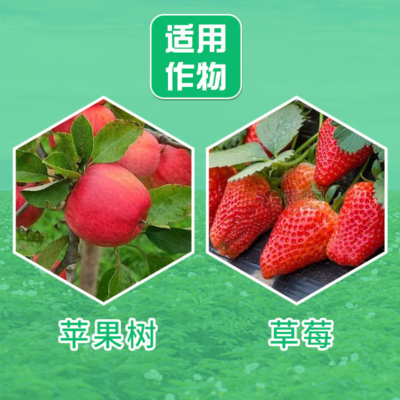 日产化学 满肃静30% 腈吡螨酯苹果红蜘蛛二斑叶螨农药杀虫杀螨剂,淘宝优惠券,粉丝福利购,淘宝优惠卷