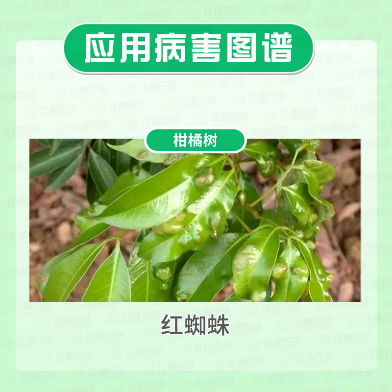 满施令50%联肼乙螨唑蔬菜果树草莓柑橘红蜘蛛叶螨农药杀卵杀虫剂 - 图0