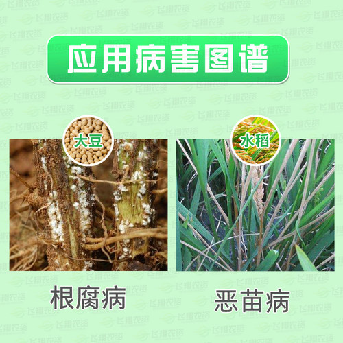 先正达亮盾精甲霜灵咯菌腈根腐猝倒恶苗病种衣剂拌种剂农药杀菌剂 - 图0