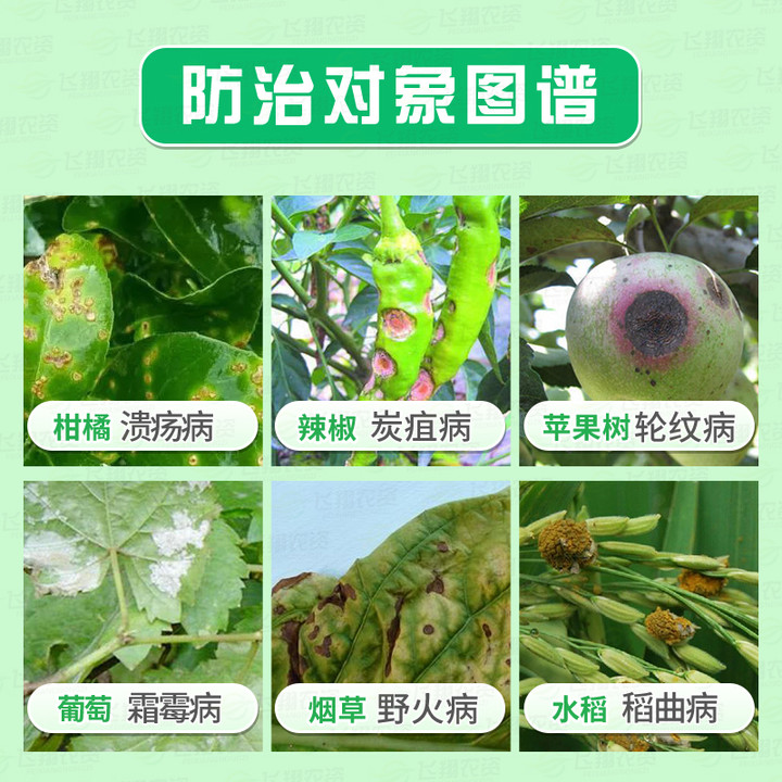 美国仙农必备波尔多倍液果树葡萄霜霉病烟草野火炭疽病农药杀菌剂,淘宝优惠券,粉丝福利购,淘宝优惠卷