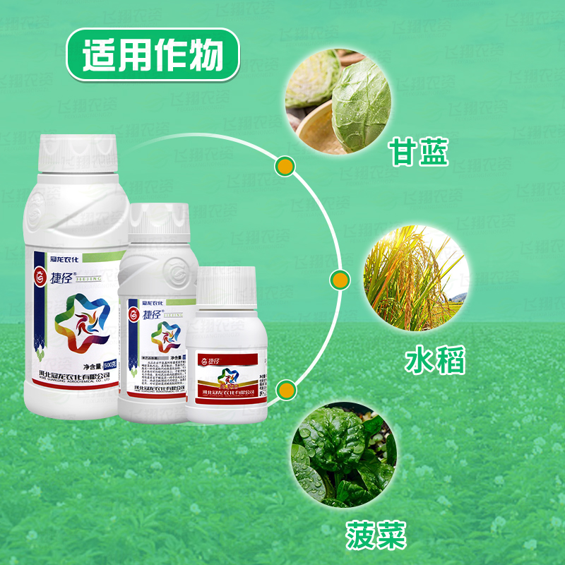 冠龙捷径12%甲维盐虫螨腈 甘蓝水稻果蔬甜棉铃虫菜青虫杀虫剂200g - 图1