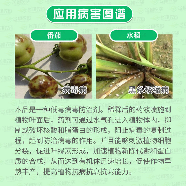 中保 克毒宝独烯羟吗啉胍 番茄皱缩畸形黑条矮缩病毒病杀菌剂15g - 图0