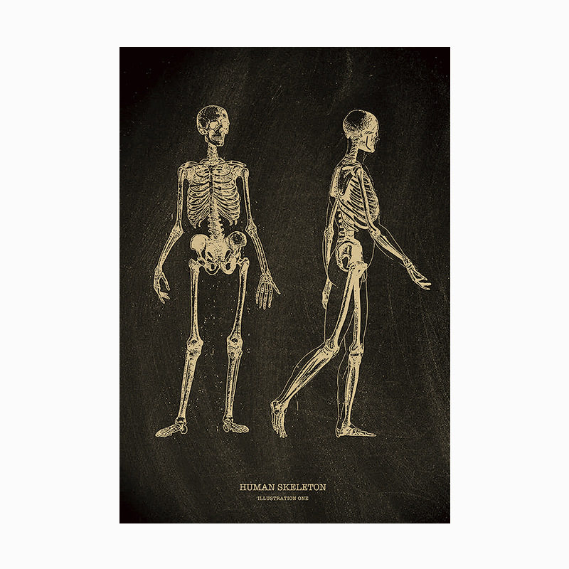【人体医学结构图鉴】海报复古牛皮纸墙壁贴纸宿舍酒吧装饰画背景,淘宝优惠券,粉丝福利购,淘宝优惠卷