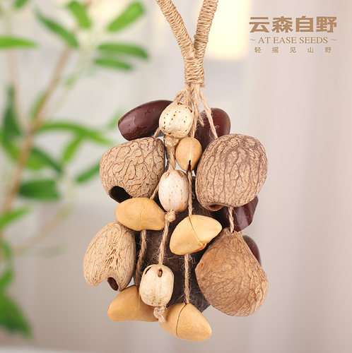 云森自野 果壳手工摇铃溪水音乐疗愈黑果乐器车挂饰治愈礼物森系 - 图2