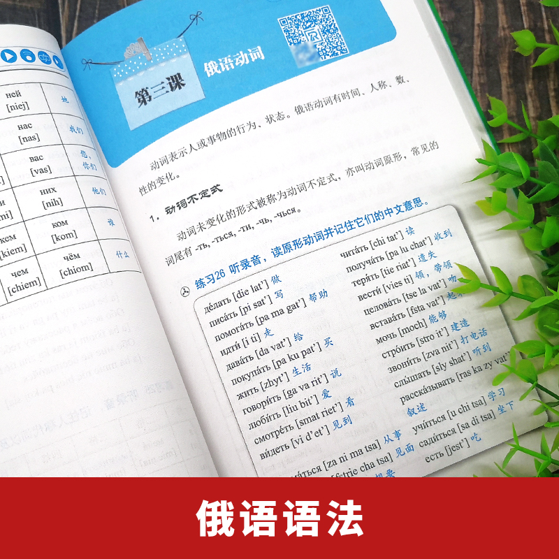 含音视频｜俄语书籍 入门自学 零起点俄语金牌入门 实用俄语入门自学教材 俄语单词学习 自学俄语教材单词是 零基础 俄语学习书 - 图2