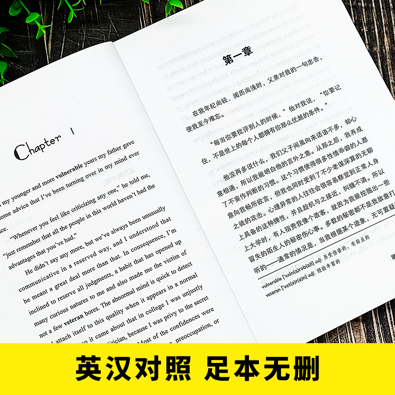 了不起的盖茨比英汉对照双语读物正版无删减了不起的盖茨比英文原版翻译中文全译本英汉对照世界名著文学小说阅读双语读物书籍-图1