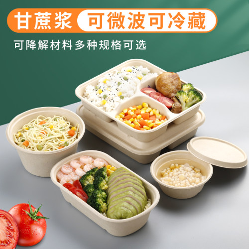 一次性四格打包盒可降解三/五/六格餐盒外卖快餐饭盒分格环保纸浆 - 图2