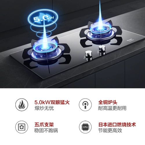 Насосная капюшон в лесном водонагревателе накачивающая газовая плита для дома термостатический европейский стиль кухня с тремя -gc21+10t+08mt