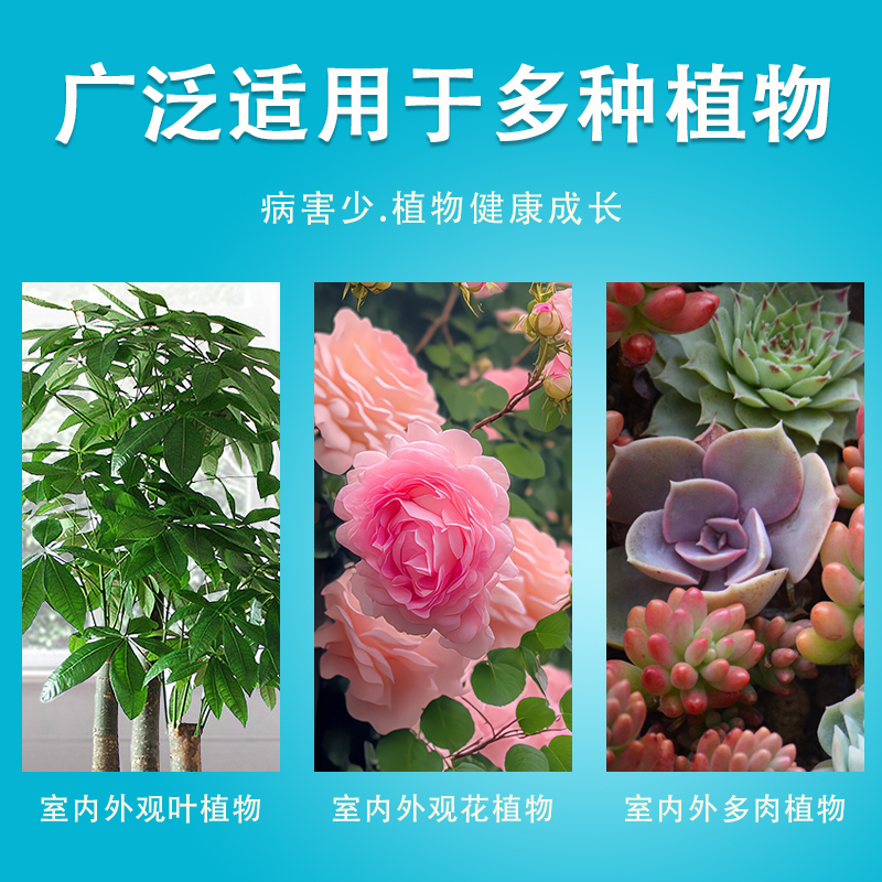 花病康喷剂植物通用型免稀释营养液家庭园艺花卉绿植抗病菌活性剂 - 图1